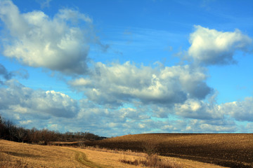 Fototapeta premium Landscape with clouds, fields and path.