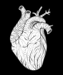 Human heart line art. Vector illustration. Tattoo style