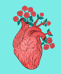 Human heart with flowers. Vector illustration. Tattoo style