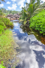 Fototapeta na wymiar marigot près de la plage de Grande Anse, la Digue, Seychelles 