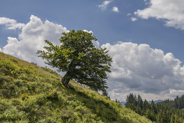 Dreilaendereck bei Arnoldstein