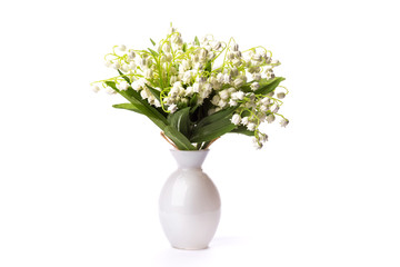 mayflowers spring white bouquet isolated