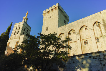 Fototapeta premium Palais des Papes in Avignon