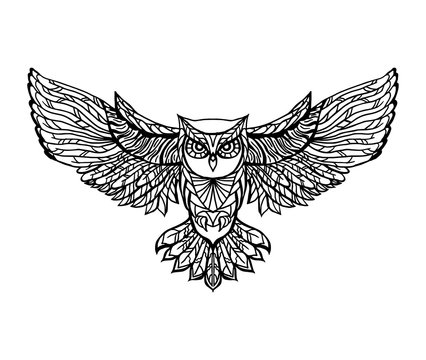 Hand drawn vector doodle  owl illustration.  Adult antistress coloring page.