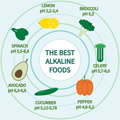 Best alkaline foods with Ph balance illustration. - 136037880