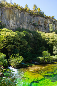 Emerald green flowing river water with seaweed,  river Sourge, Provence, Vaucluse, France, summer vacation