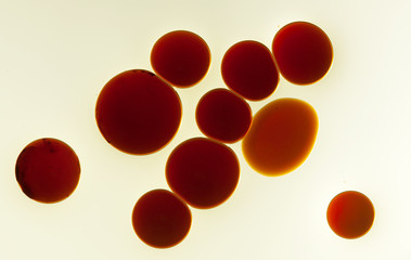 oil and balsamic vinegar abstract