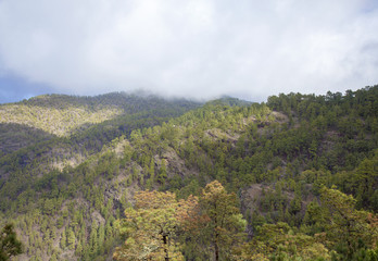central Gran Canaria in January