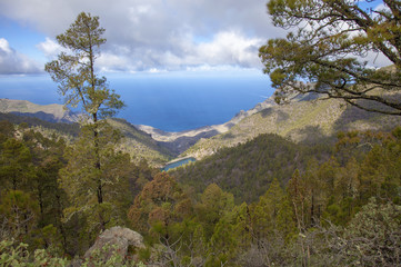 central Gran Canaria in January