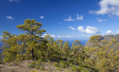 Central Gran Canaria