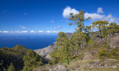 Fototapeta na wymiar Central Gran Canaria