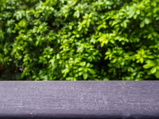 Fototapeta premium top of iron railing on blur green tree background