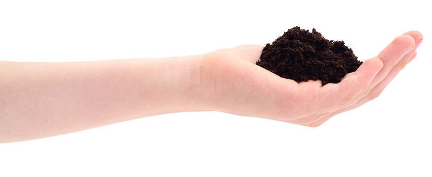 Soil in hand.