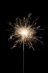 Fototapeta premium A burning sparkler on a black background