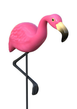 3D Rendering Pink Flamingo on White