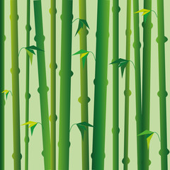 Background with green bamboo stems, oriental style