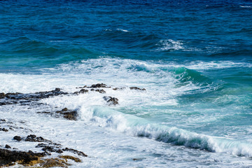 fuerteventura. canary islands