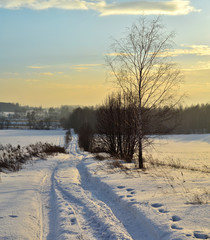 Pejzaż zimowy / winter landscape