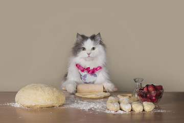 fluffy cat prepares cakes for her family