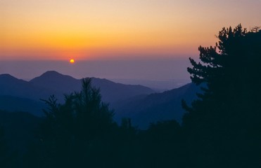 Sonnenaufgang mit Kiefern auf dem Weg zum Monte Renoso, Parc Naturel régional de Corse, Haute-Corse, Korsika, Frankreich, Europa