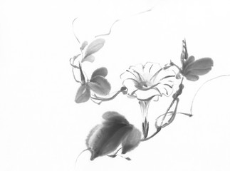 morning glory chinese ink painting