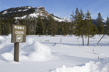 Fototapeta premium Rest place in winter landscape, Yellowstone National Park