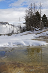 Mammoth Hot Springs winter landscape, Yellowstone National Park