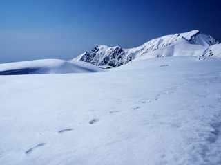 Fototapeta na wymiar snow mountains at Tateyama Kurobe Alpine Route, Japan