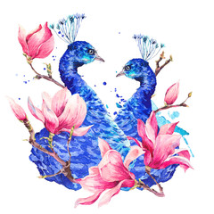 Watercolor Peacock with Flowers Magnolia