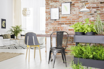 Fototapeta na wymiar Modern apartment with herbs cart