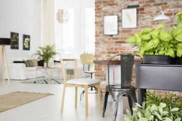 Dining room with herbs cart
