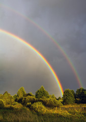 beautiful rainbow after rain