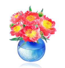 Obraz na płótnie Canvas Peony Flowers Bouquet in Vase isolated on white background