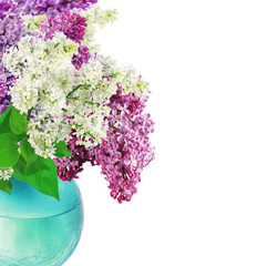 Beautiful Bunch of Lilac in the Vase