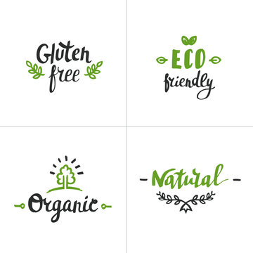 Hand drawn Eco lettering. Vector Bio organic green set.