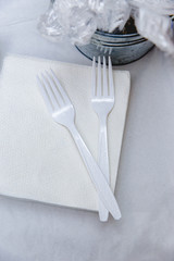 White Plastic Fork