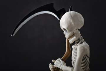 A close-up portrait of a skeleton holding scythe