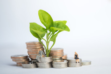 Step of coins stacks on table with tree growing on top, nature b