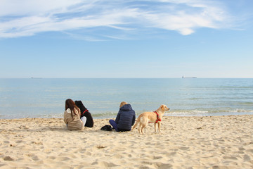 Two teenage girls and their dogs sitting on the beach and talking in sunny spring day. Friends concept.