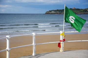 Flag and beach