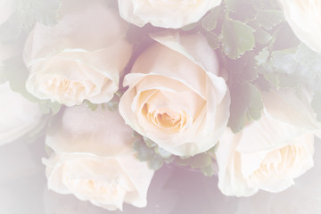 closeup rose bouquet