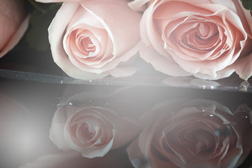 closeup rose bouquet