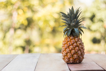 Pineapple on wood table with nature background