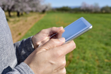 man using a tablet in a grove of almond trees