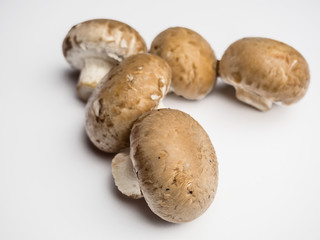 Braune Champignons isoliert