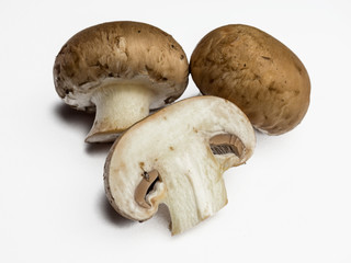 Champignon