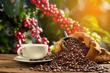 Obrazy na Szkle  Filiżanka kawy z dymem i ziarnami kawy w jutowym worku na coff