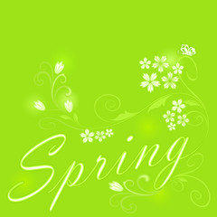 Abstract green floral spring vector background.