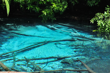 Emerald Pool in Krabi, Thailand