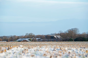 Frozen farmland in rural dutch landscape.